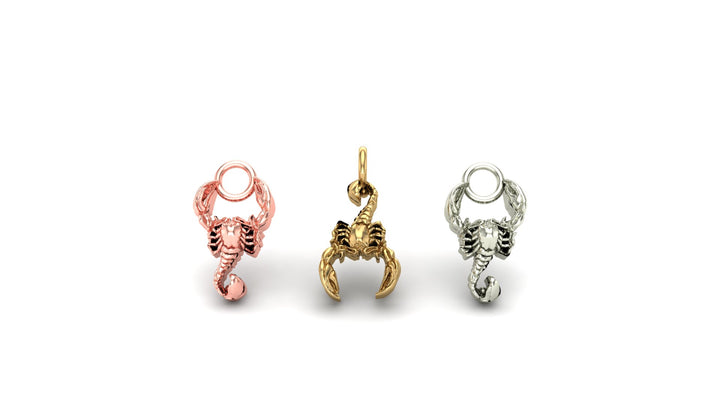 Scorpion Charm