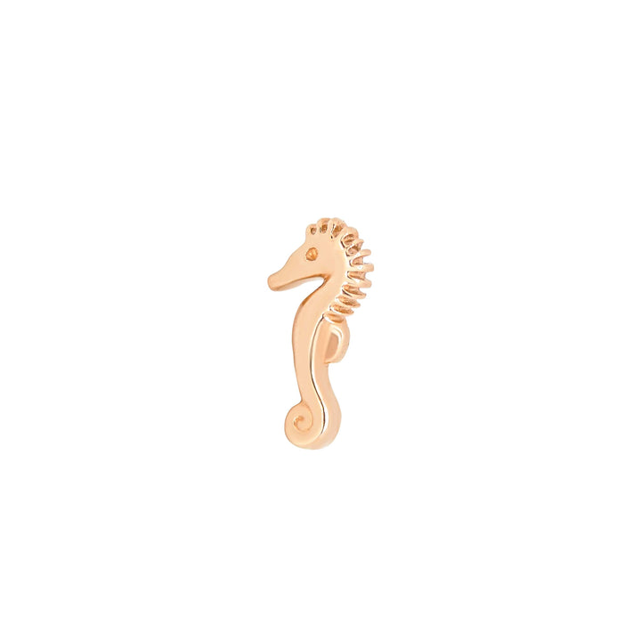 Seahorse