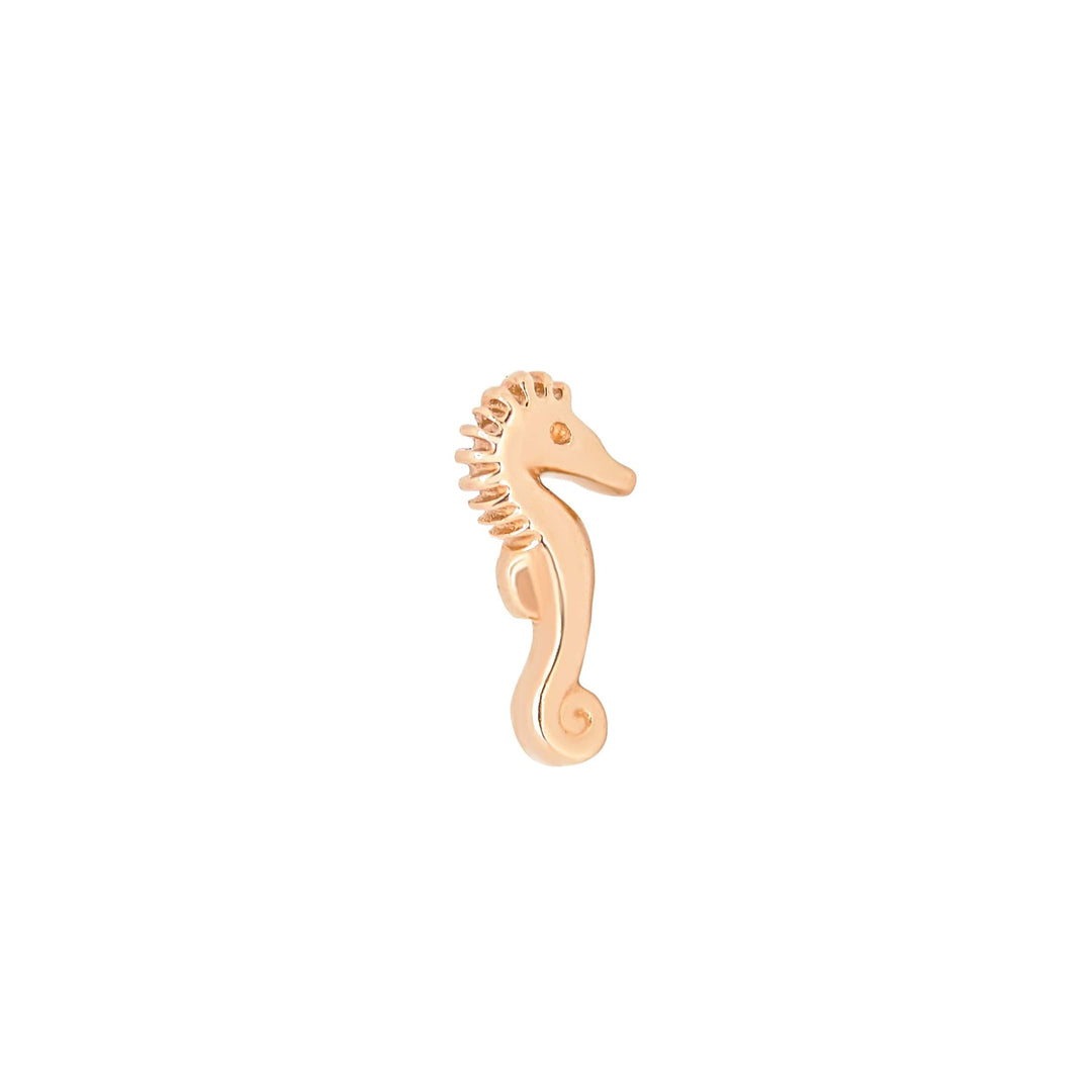 Seahorse