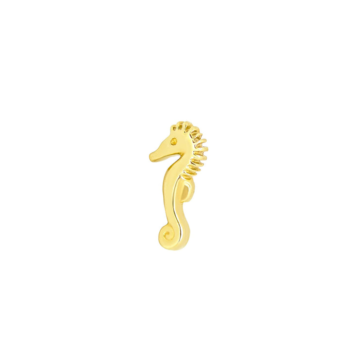 Seahorse