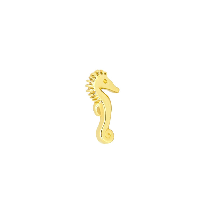 Seahorse